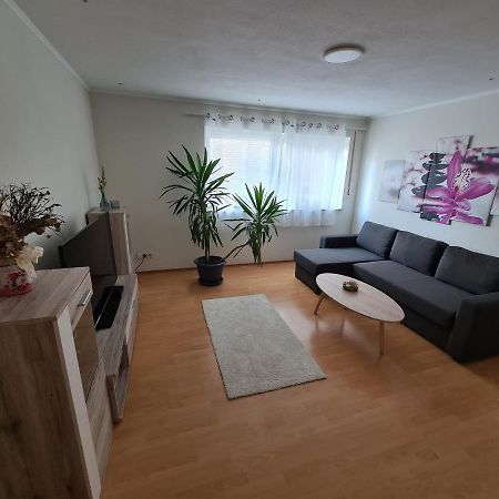 Ferienwohnung Cimen Birresdorf Extérieur photo